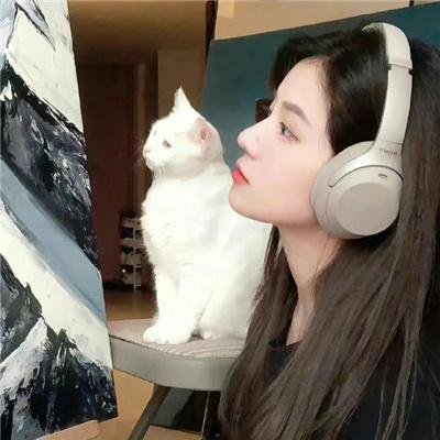 酷狗上学记